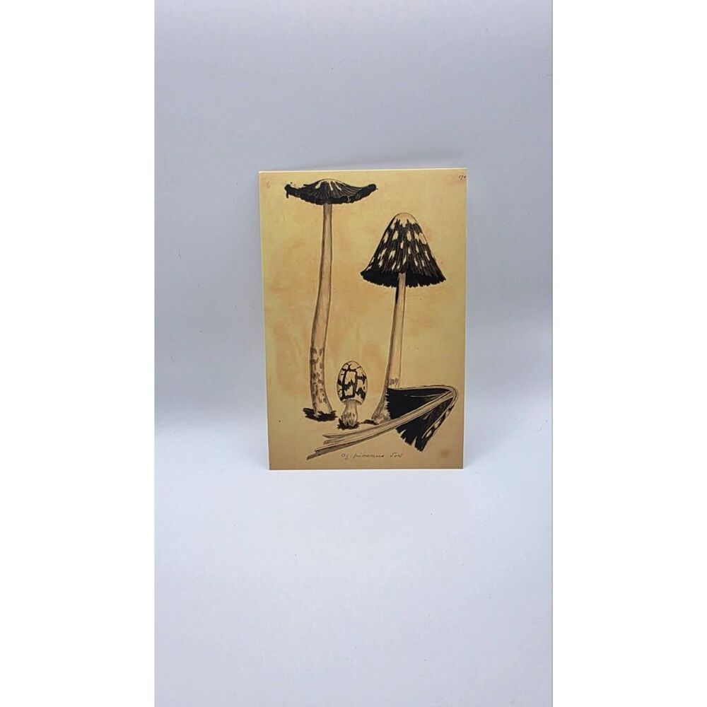 James Sowerby Magpie Inkcap Mushroom Print 4x6 Botanical Fungi Art